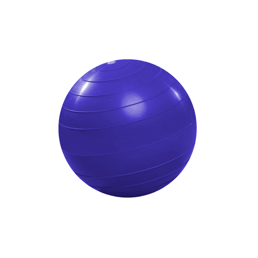 MEDICINE BALL PVC 2kg (con pique)