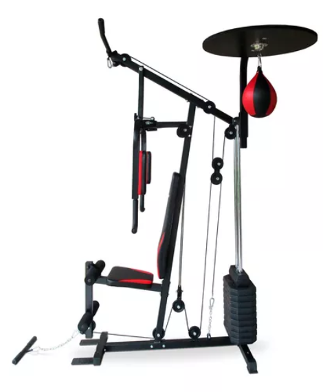 MULTIGYM + BOX FIT-90+
