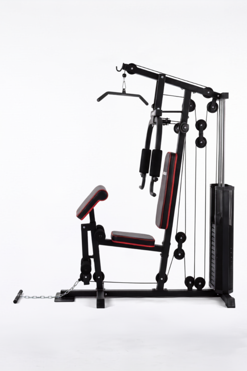 Multigimnasio con Scott y Barra Dominadas ARG-63170 (80 Kg)