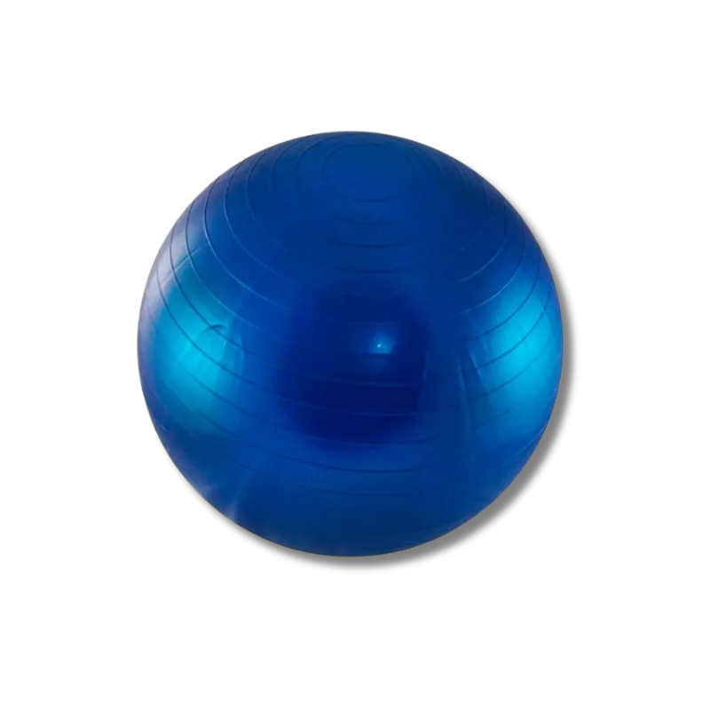 pelota-fitball-55cm-importada-reforzada-antideslizante.jpg