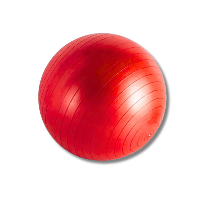 Pelota Fitball Ø55 cm Importada Reforzada Antideslizante