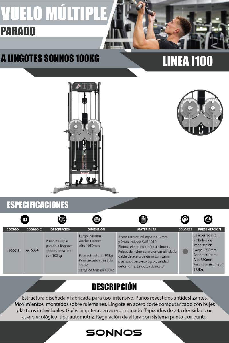 VUELVO MÚLTIPLE PARADO A LINGOTES SONNOS LINEA I100  CON 100KG