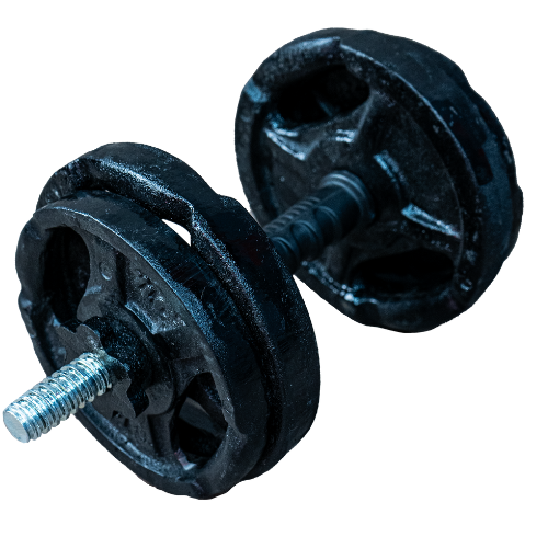 SET 15kg DISCO FUNDICION Ø25mm MANIJA