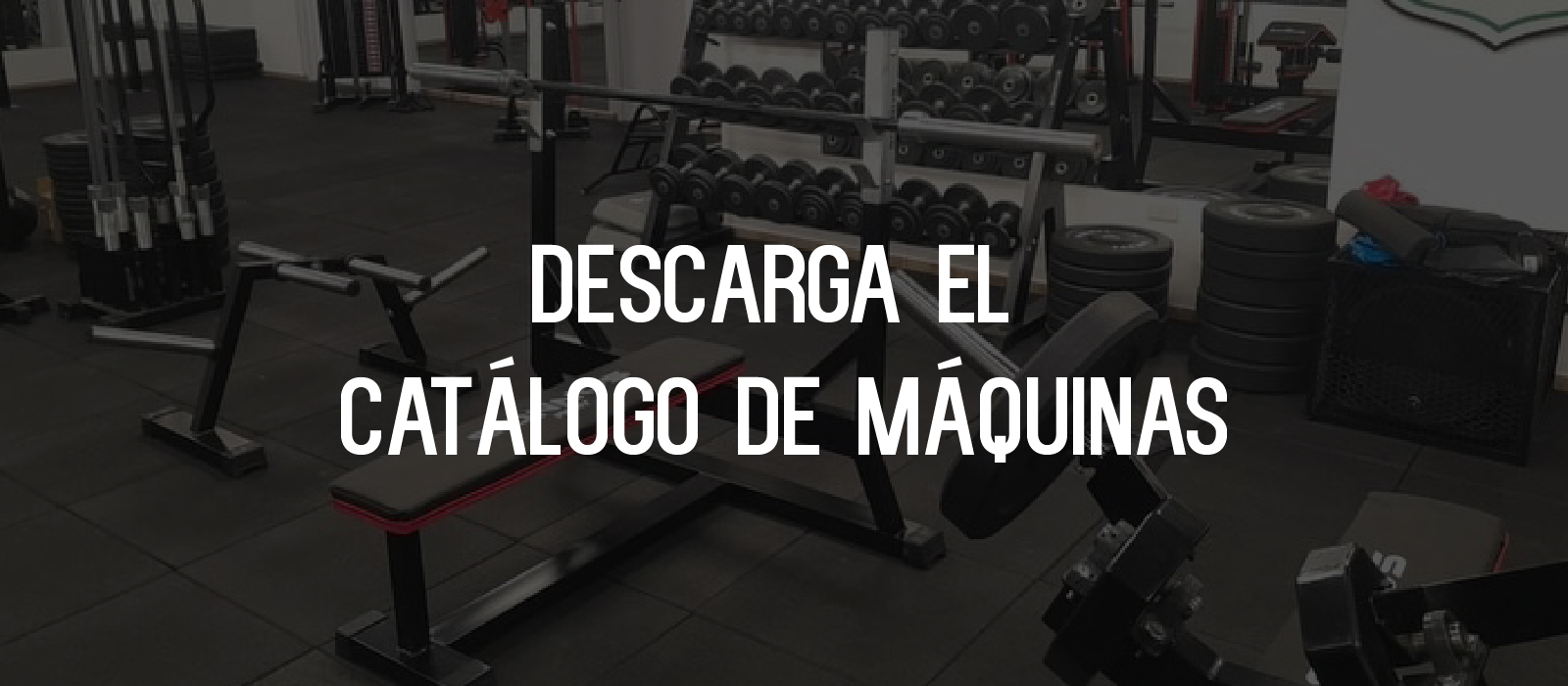 Banner Simple