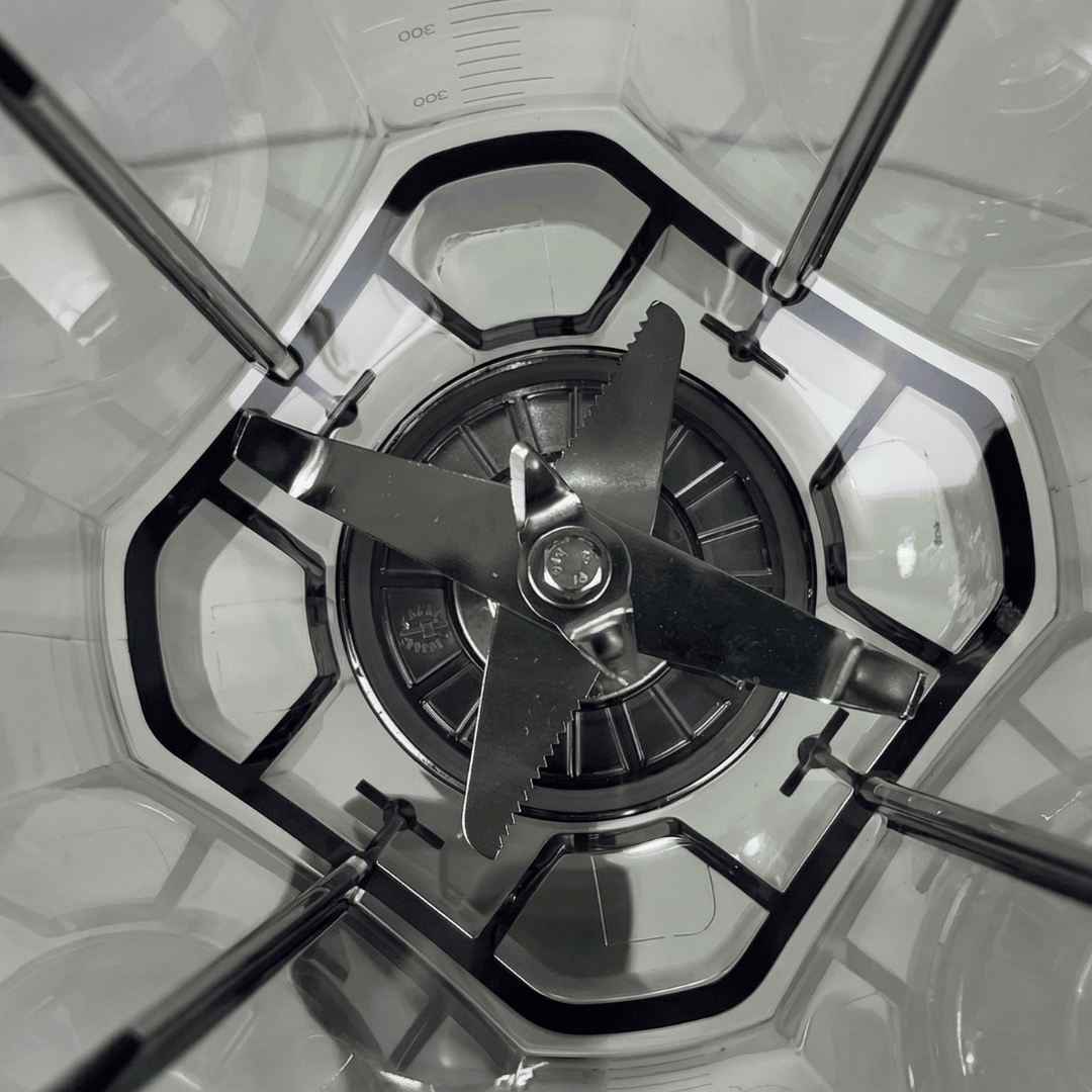 Licuadora Profesional INFINITA BLACK HS-206C 1600 WATTS AUMAX