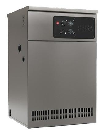 Caldera Peisa De Pie XP 100 GN Tiro Natural 89.100 kcal (CONSULTE DEMORA)