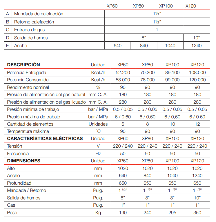 Caldera Peisa De Pie  XP 120 GN Tiro Natural 108.000 kcal (CONSULTE DEMORA)