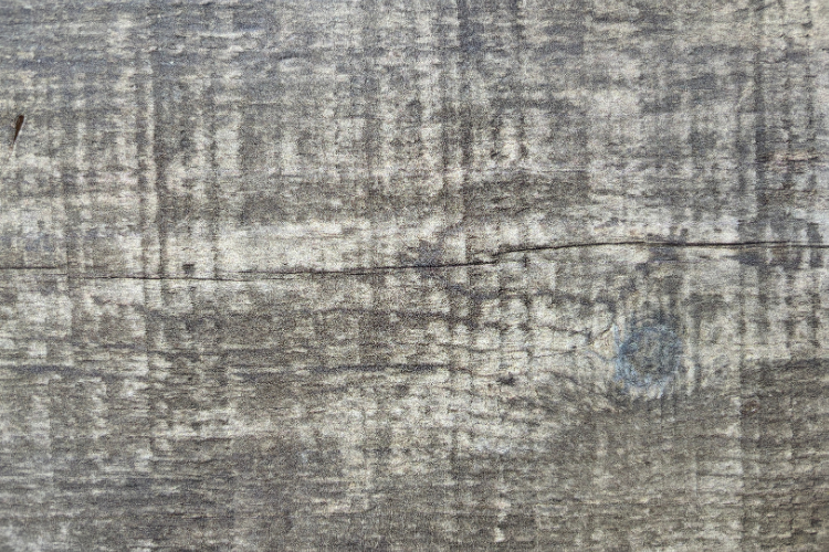 Piso Melamínico Kaindl Pine Harvest Original 8mm (Caja 2,20 m²)