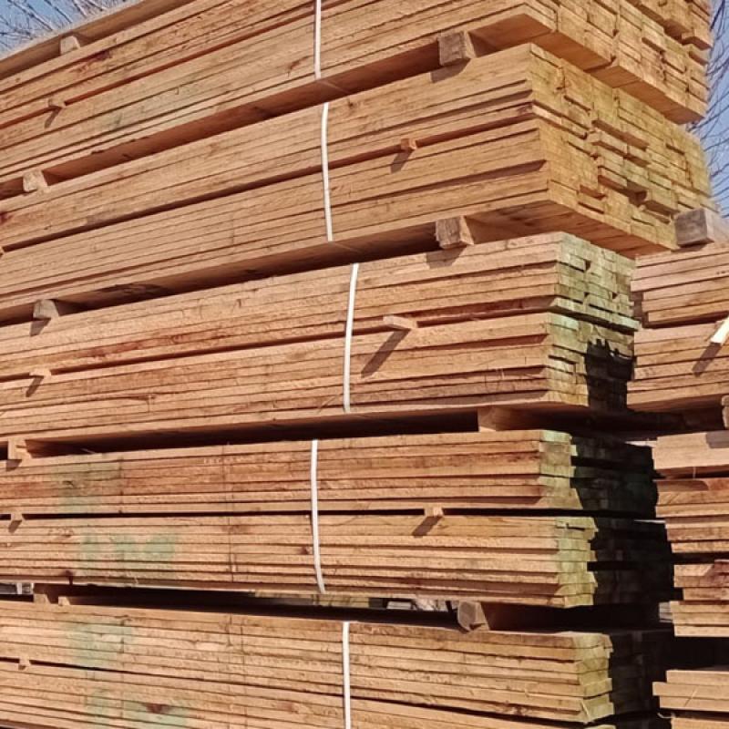 Saligna (Grandis) 1" X 4" X 12 pies