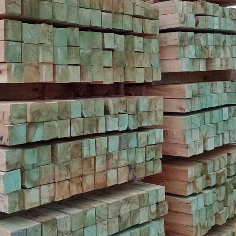 Saligna (Grandis) 1" X 4" X 12 pies