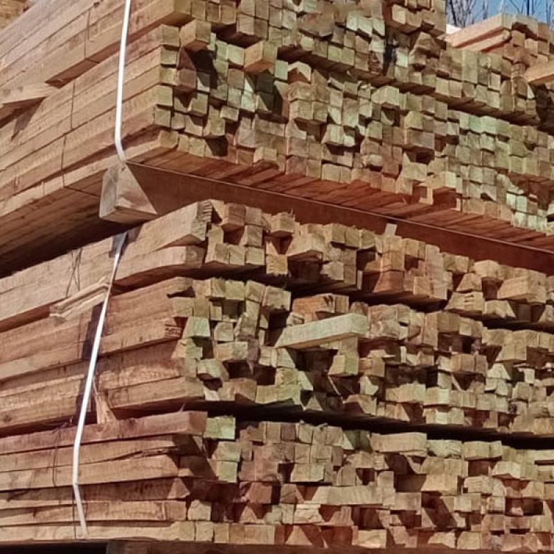 Alfajia De Saligna (Grandis) 1" X 2" - 3"