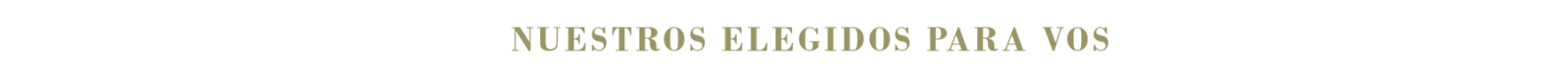 Banner Simple