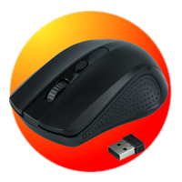MOUSE
