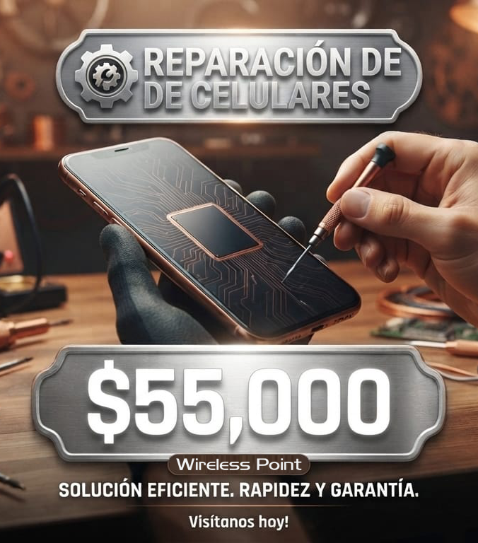 2. SERVICIO DE REPARACIÓN PLATA