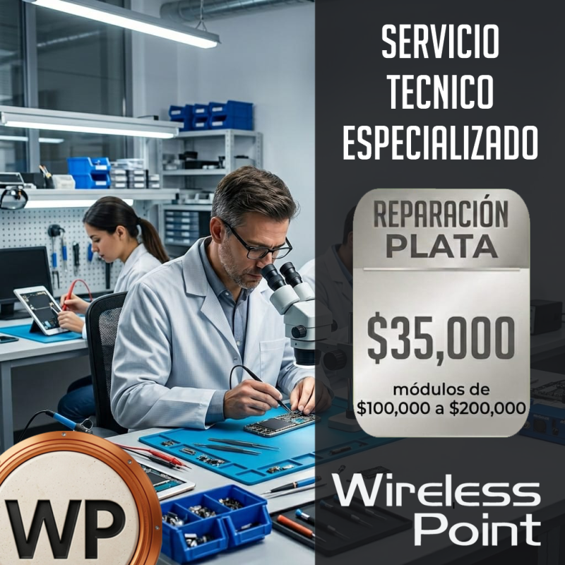 2. SERVICIO DE REPARACIÓN PLATA