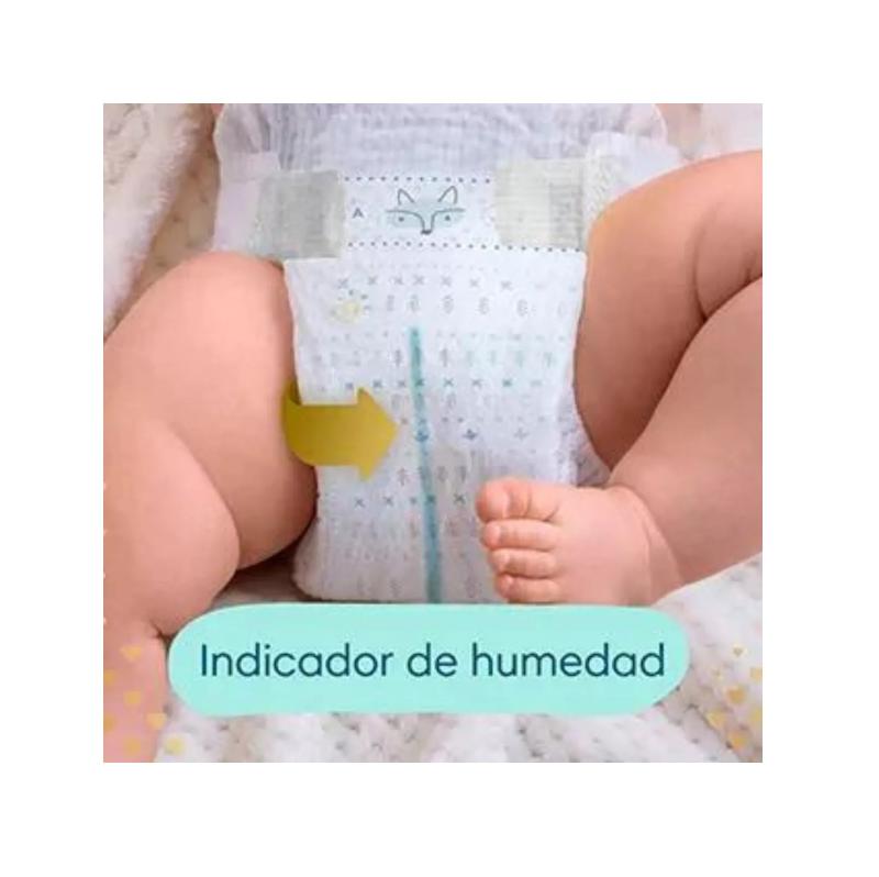 PAMPERS DELUXE PROTECTION P X36