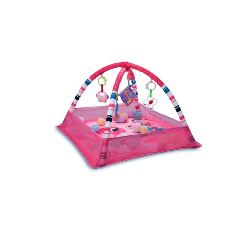 GIMNASIO ALFOMBRA PELOTERO DIDACTICO EXPLORER FELCRAFT
