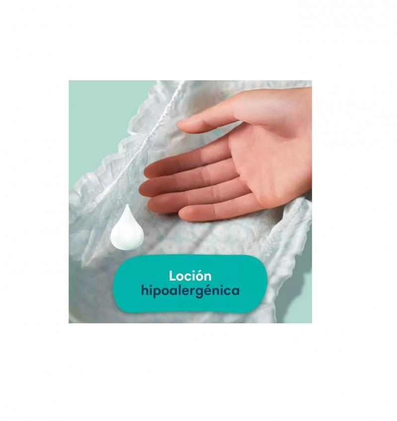 PAMPERS BABY DRY HIPOALARGENICO