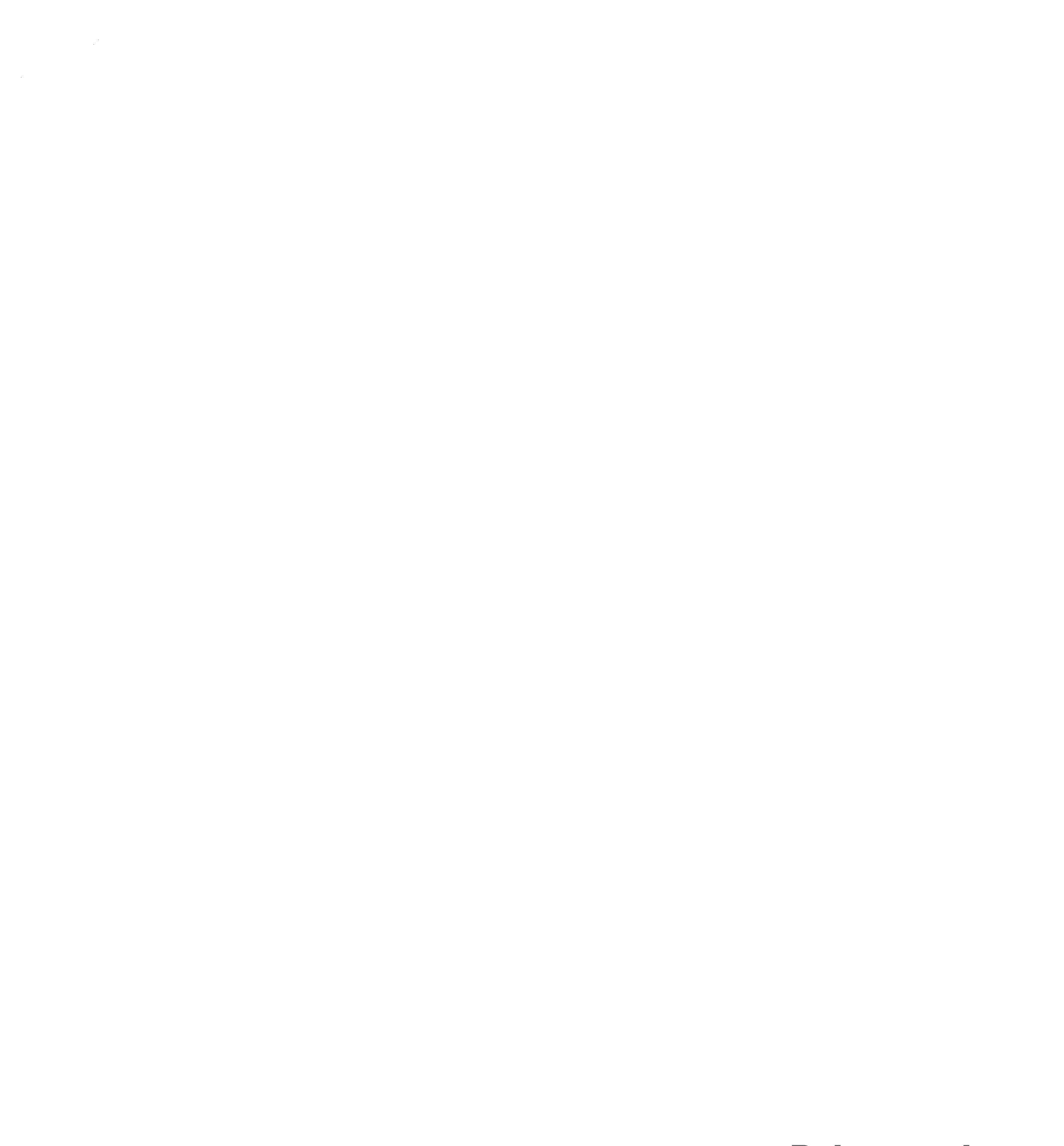 Balanza Colgante PPI FLAIER PLUS