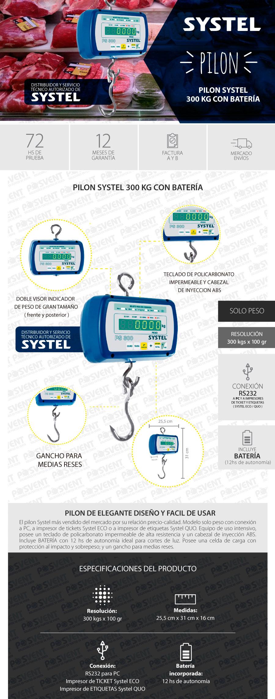 PILON SYSTEL 300 KG CON BATERIA