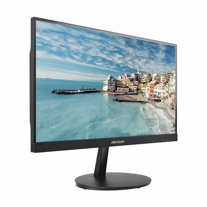 Monitor Hikvision D5022FN LED negro 110/220V