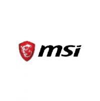 MSI