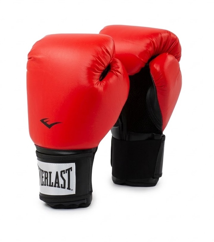 Guantes Boxeo Pro Style Everlast