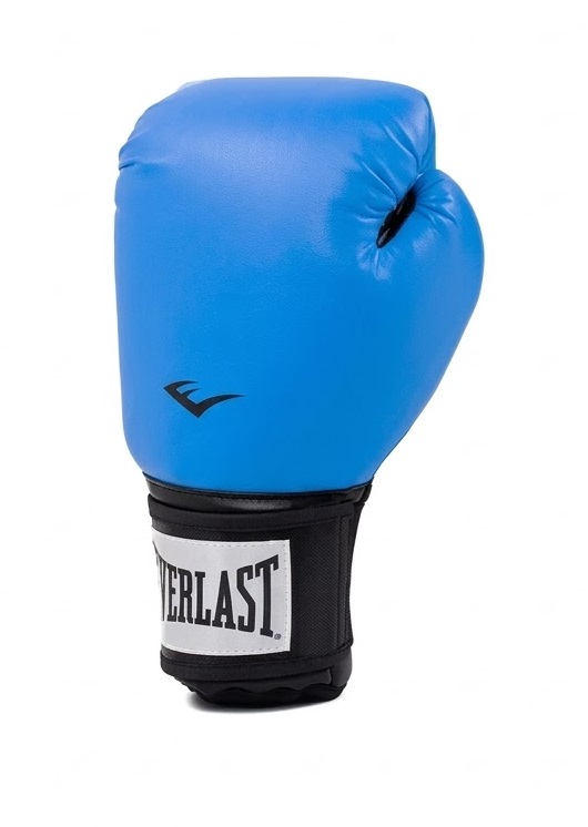 Guantes Boxeo Pro Style Everlast