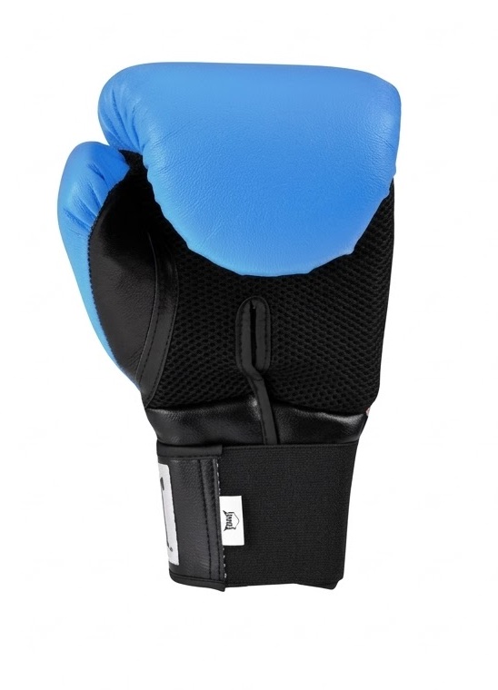 Guantes Boxeo Pro Style Everlast