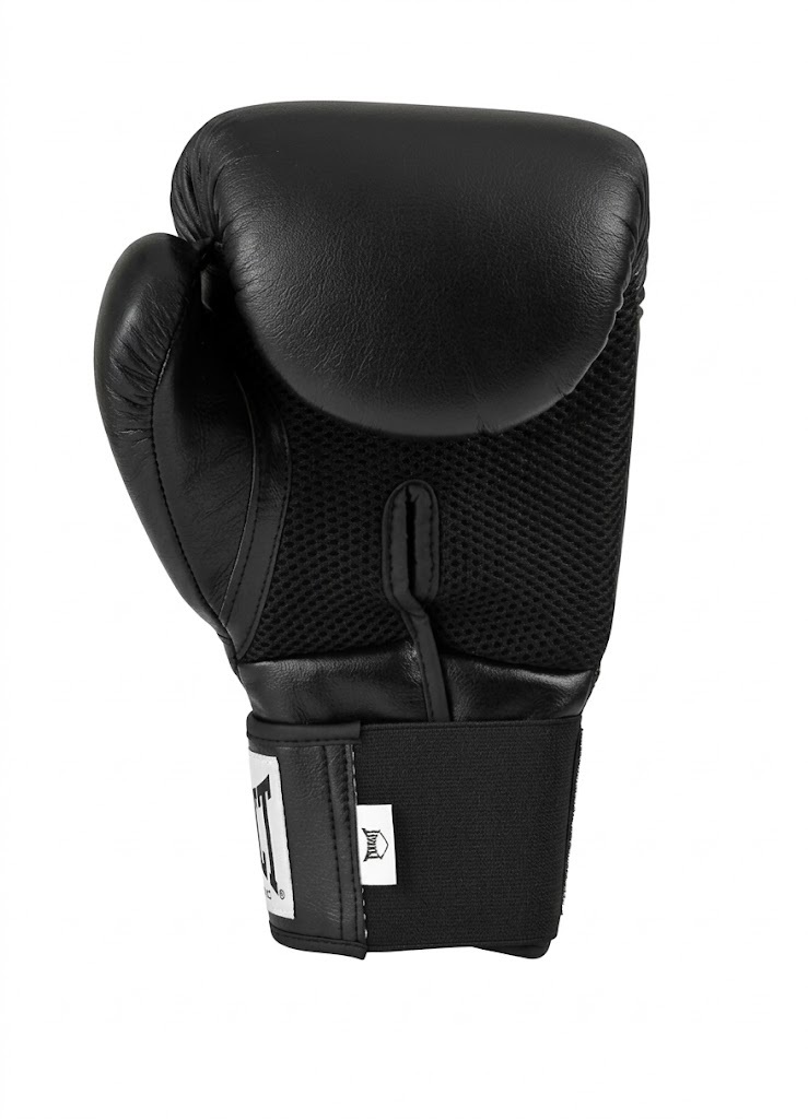 Guantes Boxeo Pro Style Everlast