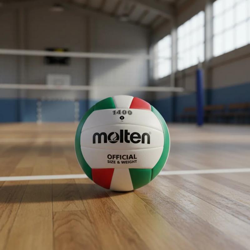 Pelota Voley Molten V5C 1400 N°5 Indoor Balon Iniciación