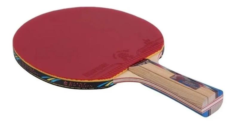 Paleta Ping Pong Giant Dragon Professional 6 Estrellas