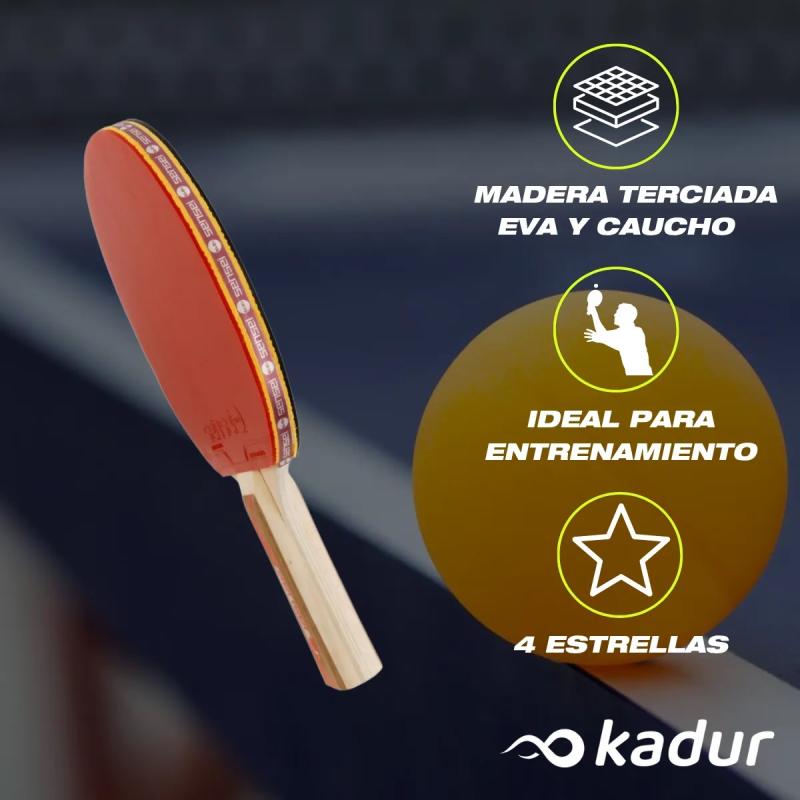 Paleta Ping Pong Sensei 4 Estrellas