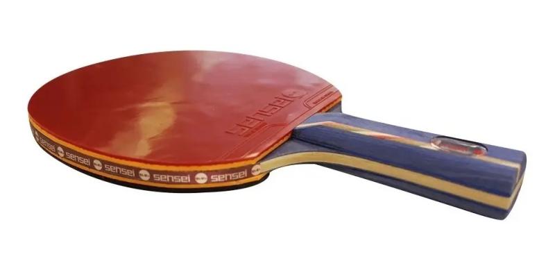 Paleta Ping Pong Sensei 6 Estrellas Plus