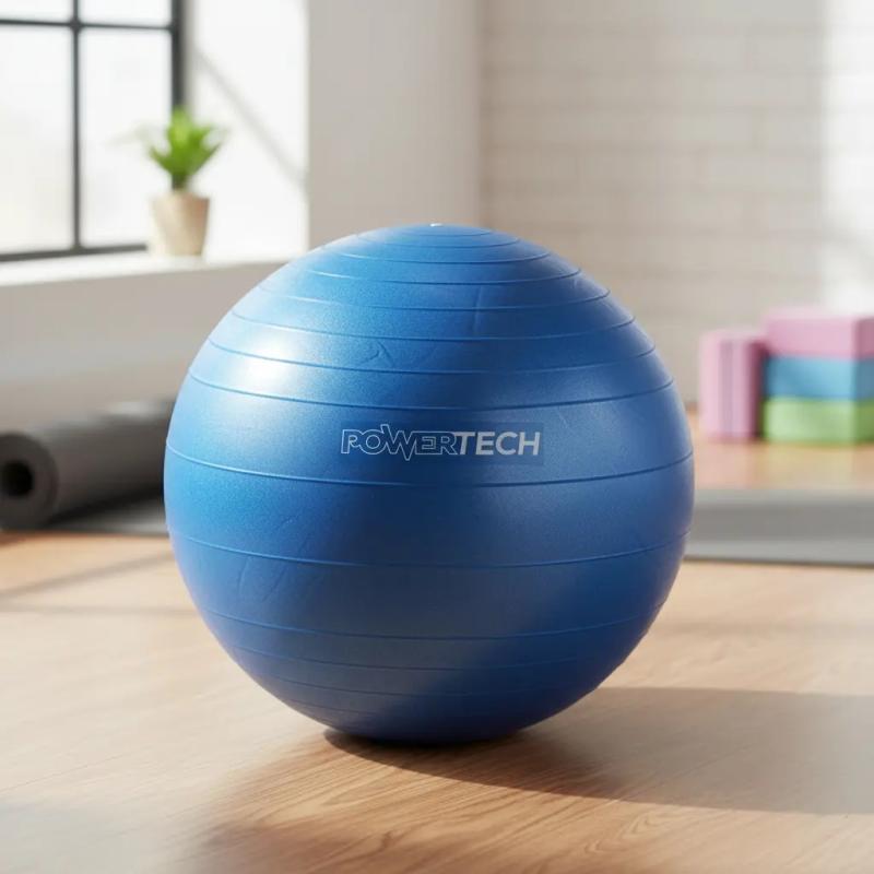 Pelota Esferodinamia Powertech 65 cm