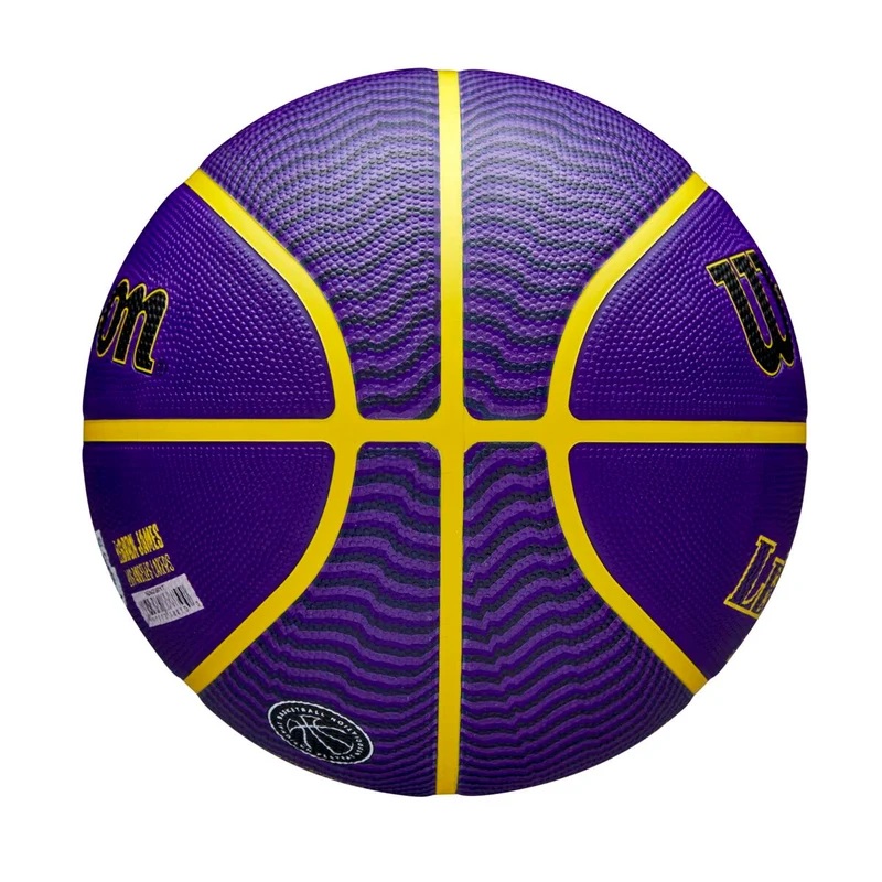 Pelota Wilson Nba Basquet N7 Lakers L.B. James