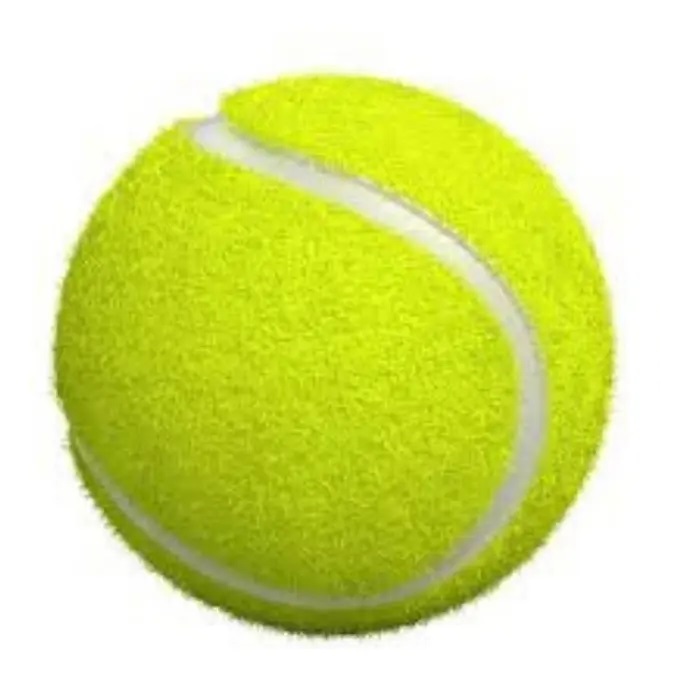 Tubo Pelotas Tenis Penn Pro Marathon x2 Tubos
