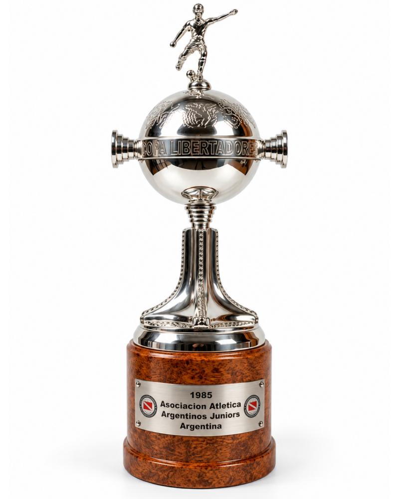 Copa Libertadores Argentinos Juniors