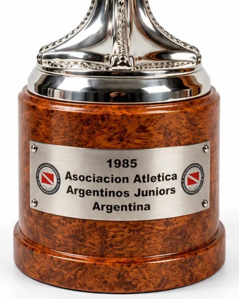 Copa Libertadores Argentinos Juniors