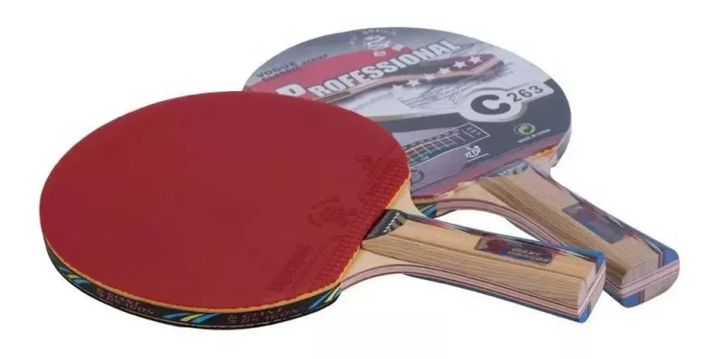 Paleta Ping Pong Giant Dragon Professional 6 Estrellas