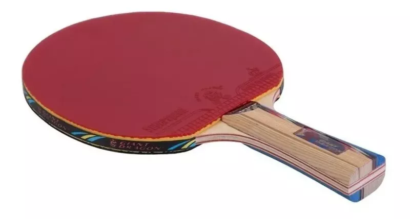 Paleta Ping Pong Giant Dragon Professional 6 Estrellas