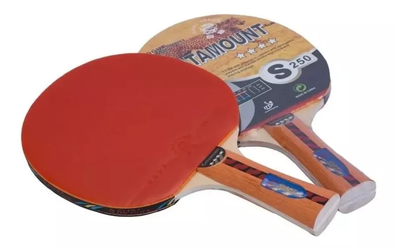 Paleta Ping Pong Giant Dragon 4 Estrellas