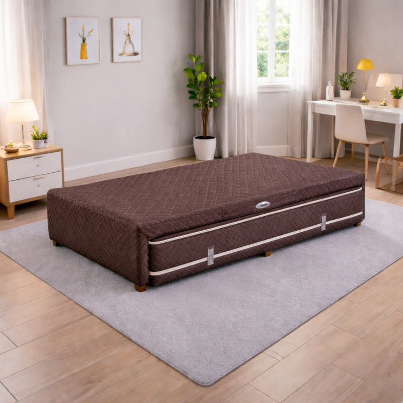 Sommier Divan Springwall S5 + Colchón Regina 90x190 Resortes 95 Kg