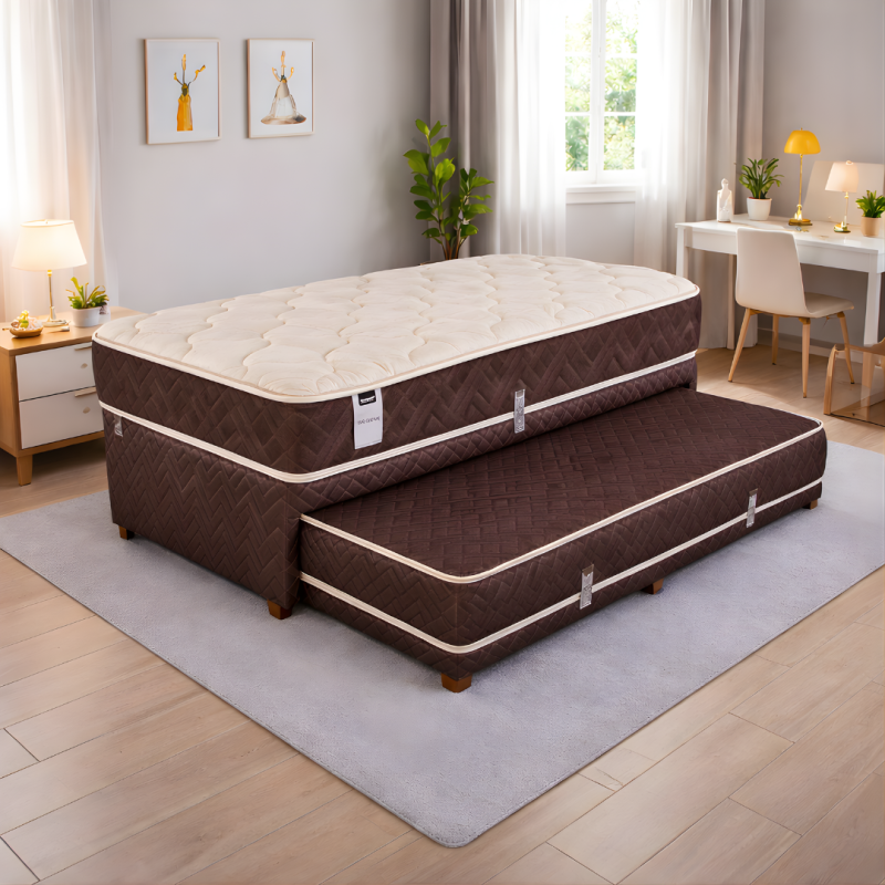 Sommier Divan Springwall S5 + Colchón Regina 90x190 Resortes 95 Kg