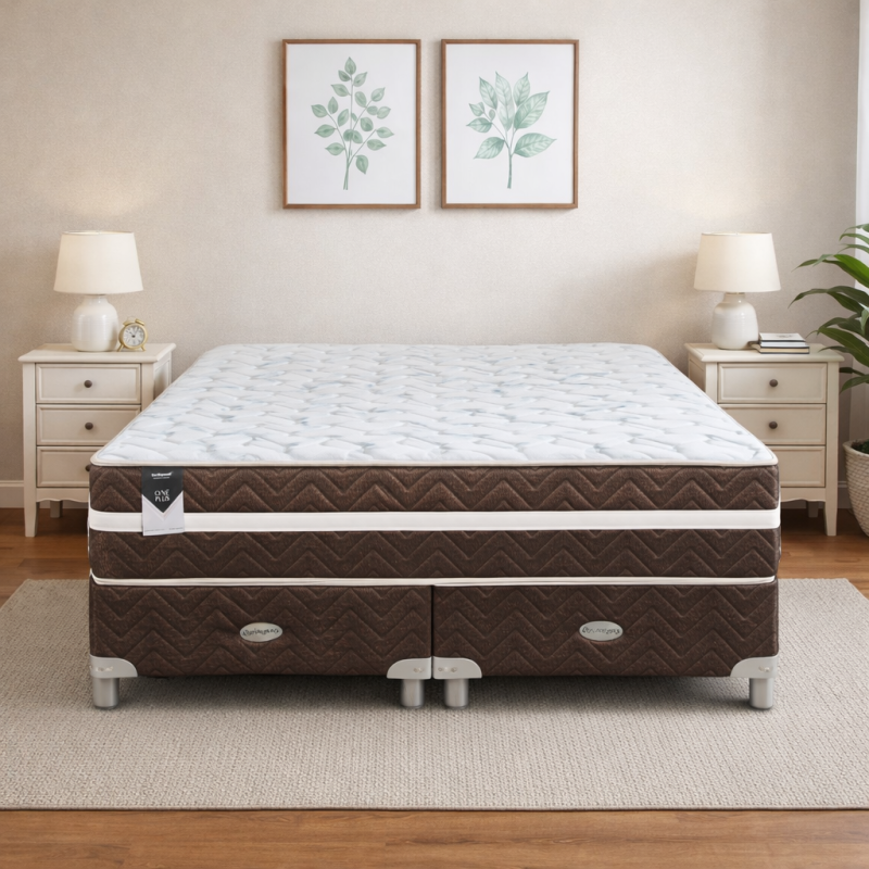 Conjunto Sommier Springwall One Plus Queen 160x200 Espuma 130 Kg