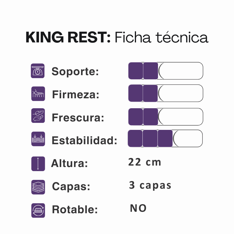 Conjunto Sommier Springwall King Rest 80x190 Resortes