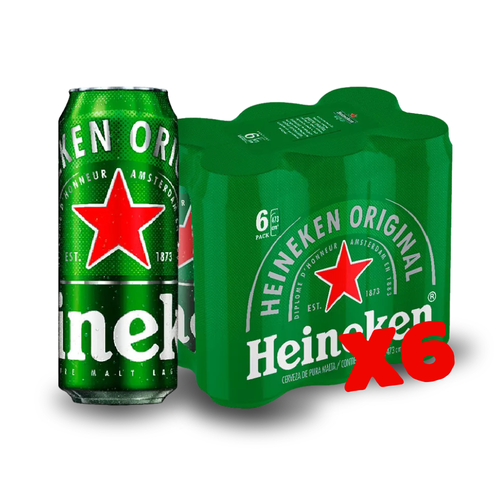 SIX-PACK Heineken x6