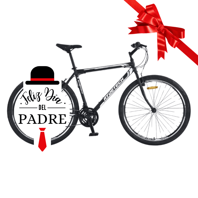 Bicicleta Rydetech 300 Acero con Suspensión