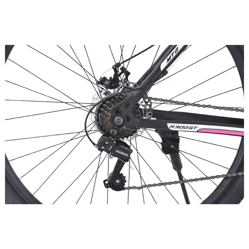 Bicicleta Rydetech 300 GT