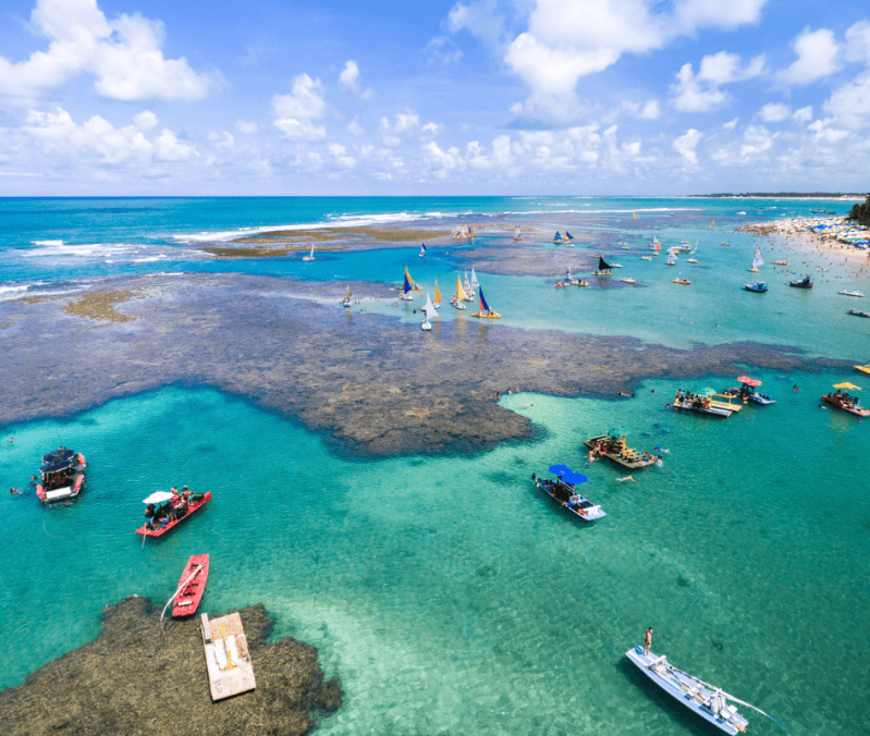 Promo Aniversario - Porto de Galinhas